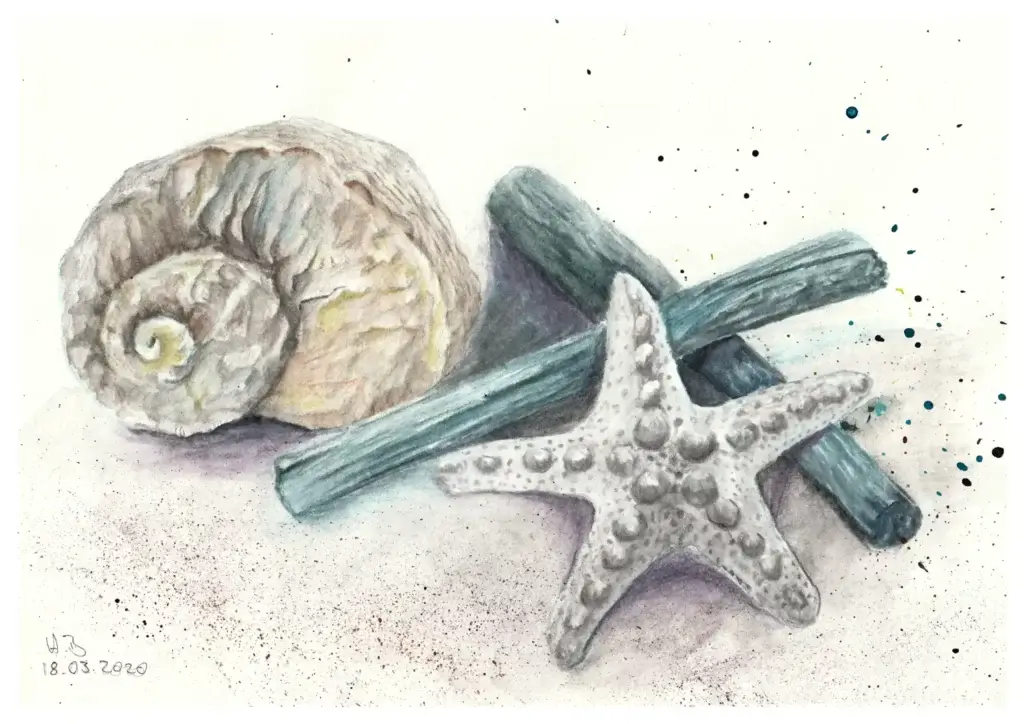 Fundstücke am Strand